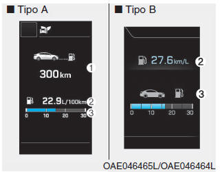 Autonomia residua/Consumo medio di combustibile/Consumo di combustibile istantaneo