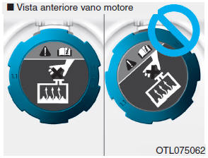 Controllo livello liquido di raffreddamento