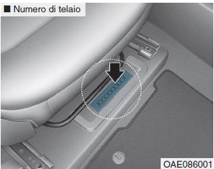 Numero d'identificazione veicolo (VIN)