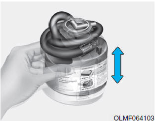 Con kit di riparazione pneumatico (TMK)