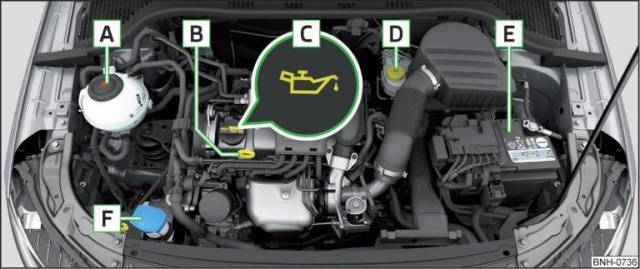 Fig. 226 Esempio di disposizione nel vano motore